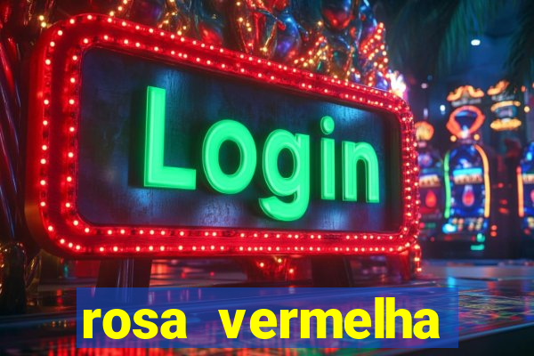 rosa vermelha (letra e cifra)